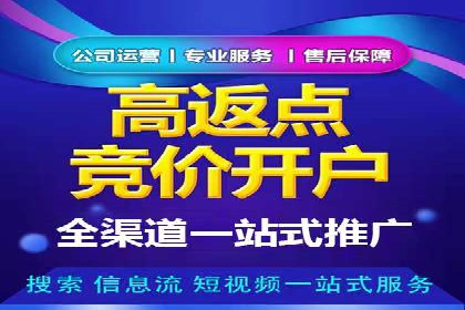 竞价广告的投放技巧与网络推广的实践